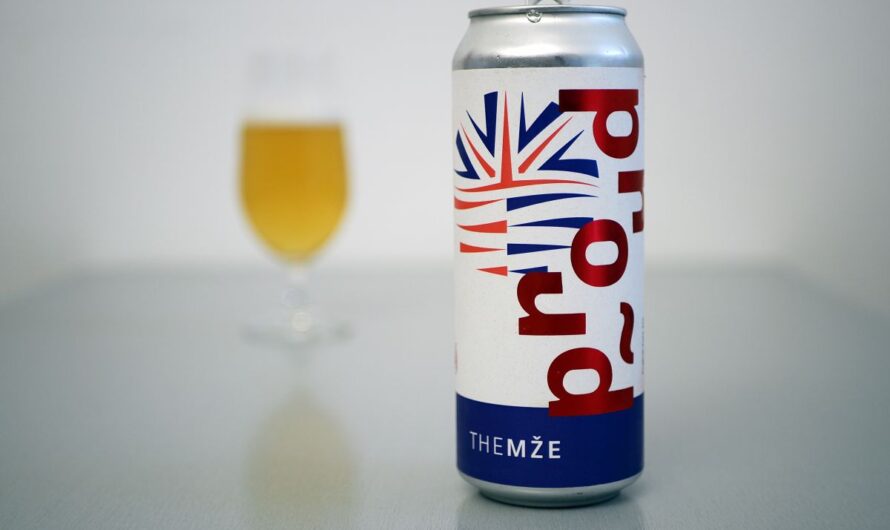 Na málo alkoholu, přiměřeně pivní muziky (TheMže)