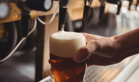Pivo