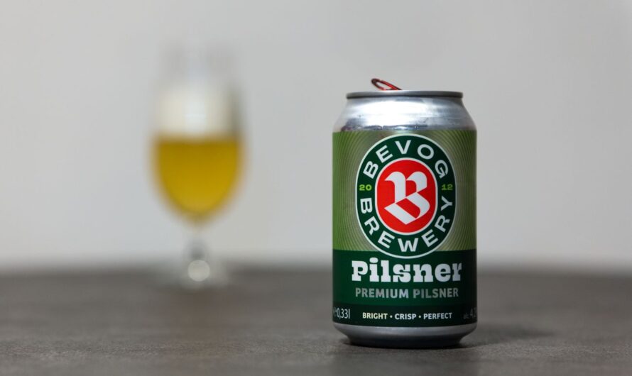 Pivo, na které asi rychle zapomeneme (Pilsner)