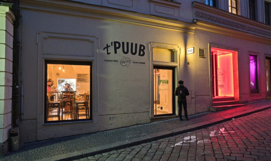 t' Puub Brno