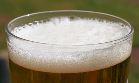 Pivo