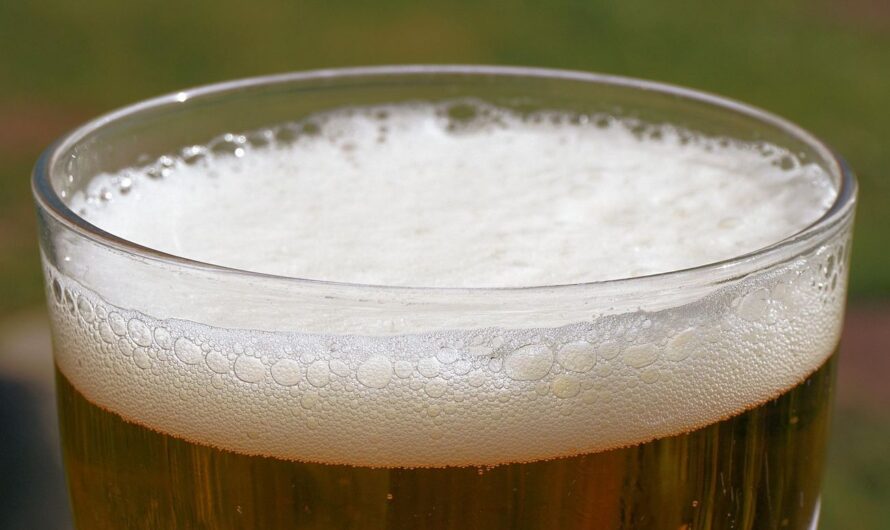 Pivo