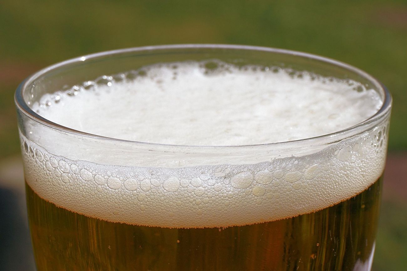 Pivo